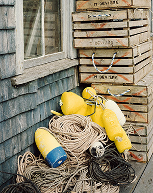 Yellow Buoys at F.W. Thurston's Wharf